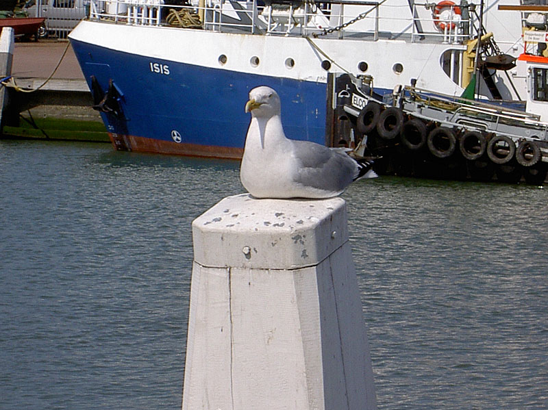 108
